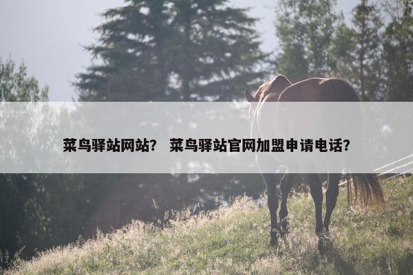 菜鸟驿站网站？ 菜鸟驿站官网加盟申请电话？