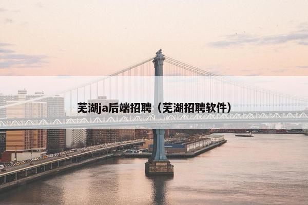 芜湖ja后端招聘（芜湖招聘软件）