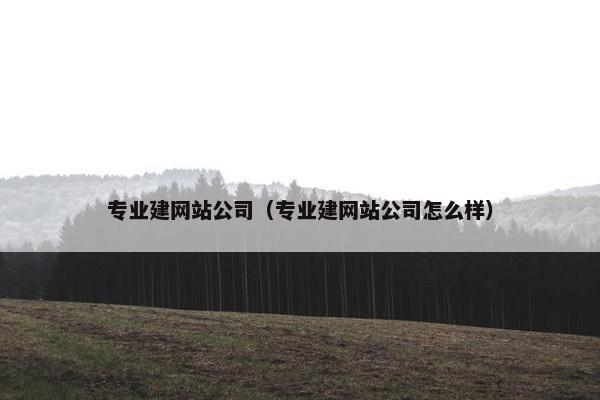 专业建网站公司（专业建网站公司怎么样）