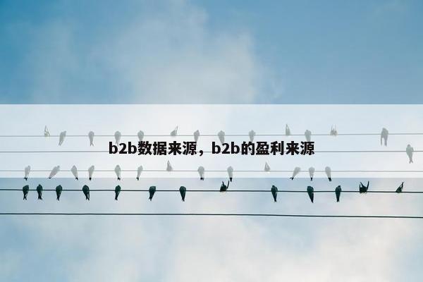 b2b数据来源，b2b的盈利来源