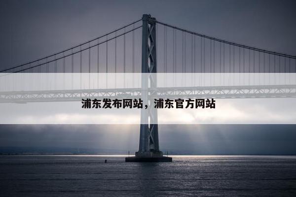 浦东发布网站，浦东官方网站