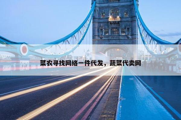 菜农寻找网络一件代发，蔬菜代卖网