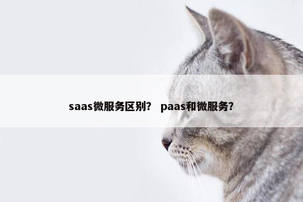 saas微服务区别？ paas和微服务？
