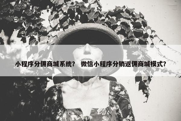 小程序分佣商城系统？ 微信小程序分销返佣商城模式？