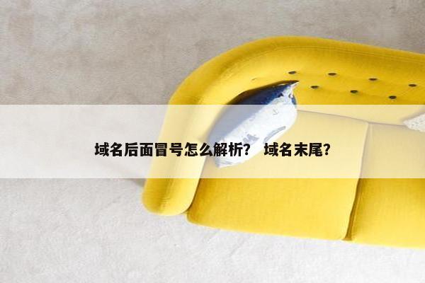 域名后面冒号怎么解析？ 域名末尾？