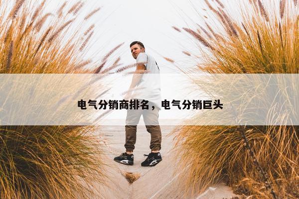 电气分销商排名，电气分销巨头