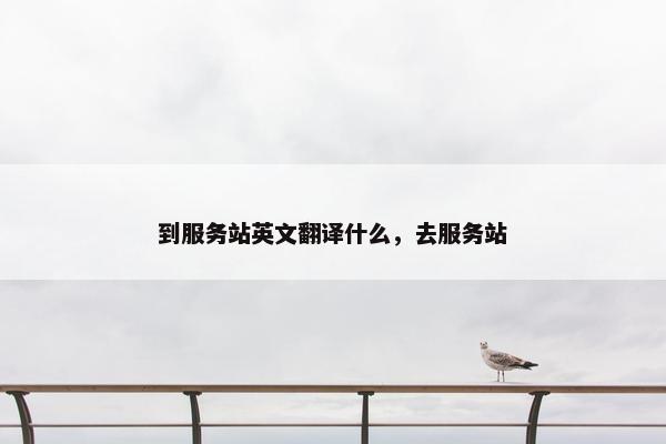 到服务站英文翻译什么，去服务站