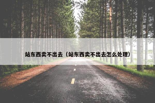 站东西卖不出去（站东西卖不出去怎么处理）