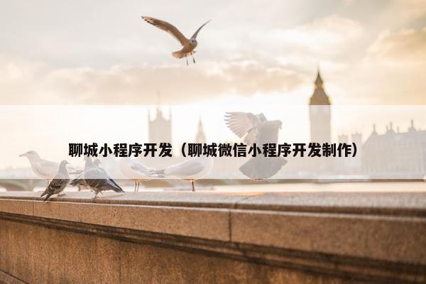 聊城小程序开发（聊城微信小程序开发制作）