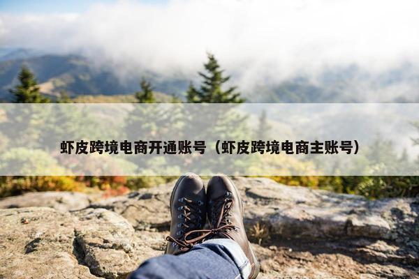 虾皮跨境电商开通账号（虾皮跨境电商主账号）