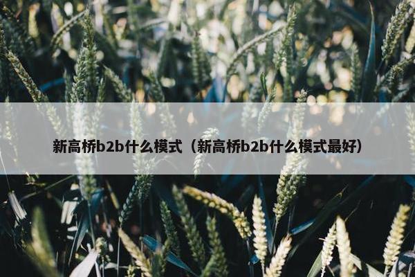 新高桥b2b什么模式（新高桥b2b什么模式最好）