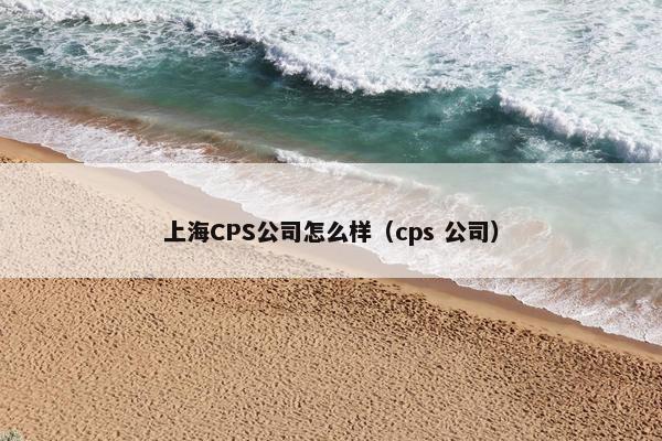 上海CPS公司怎么样（cps 公司）