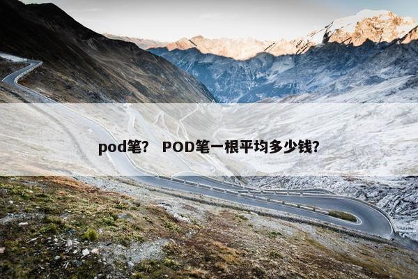 pod笔？ POD笔一根平均多少钱？