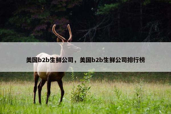 美国b2b生鲜公司，美国b2b生鲜公司排行榜