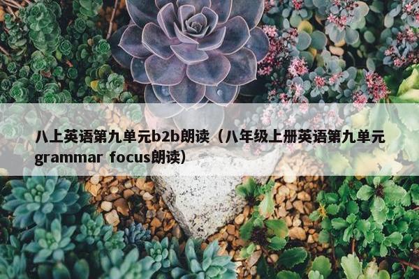 八上英语第九单元b2b朗读（八年级上册英语第九单元grammar focus朗读）