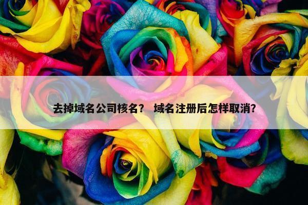 去掉域名公司核名？ 域名注册后怎样取消？