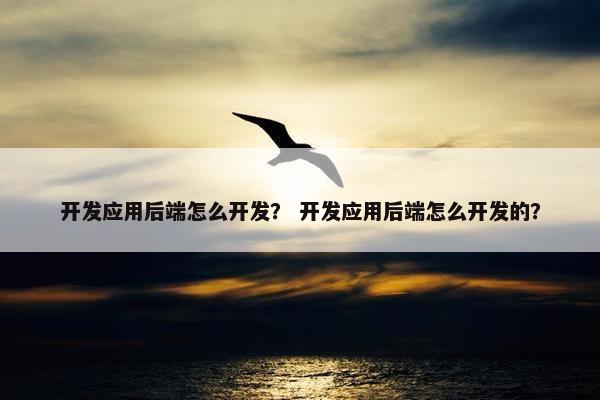 开发应用后端怎么开发？ 开发应用后端怎么开发的？