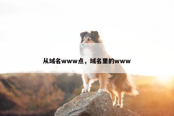 从域名www点，域名里的www
