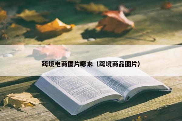 跨境电商图片哪来（跨境商品图片）