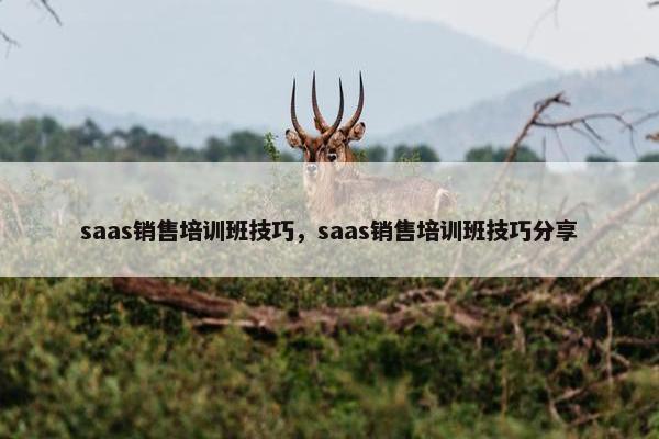 saas销售培训班技巧，saas销售培训班技巧分享