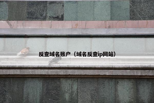 反查域名账户（域名反查ip网站）