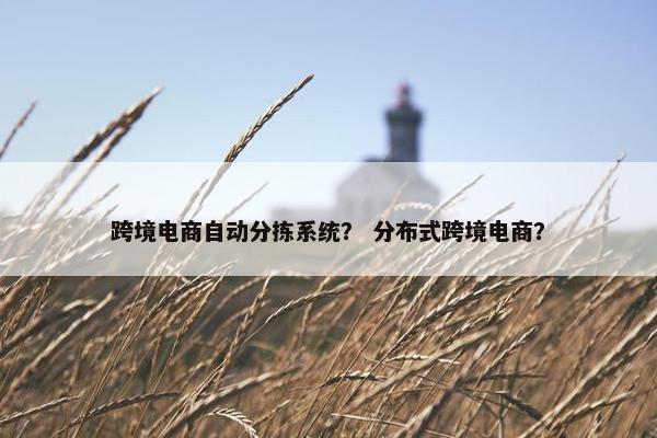 跨境电商自动分拣系统？ 分布式跨境电商？