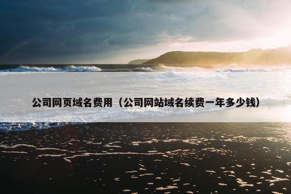 公司网页域名费用（公司网站域名续费一年多少钱）