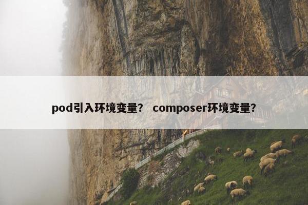 pod引入环境变量？ composer环境变量？