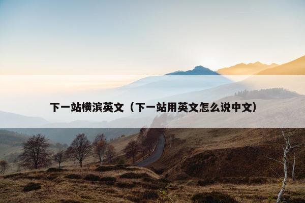 下一站横滨英文（下一站用英文怎么说中文）