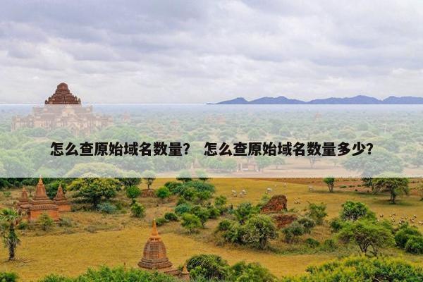 怎么查原始域名数量？ 怎么查原始域名数量多少？
