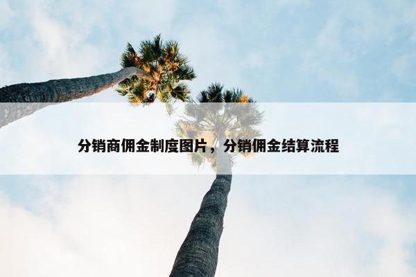 分销商佣金制度图片，分销佣金结算流程