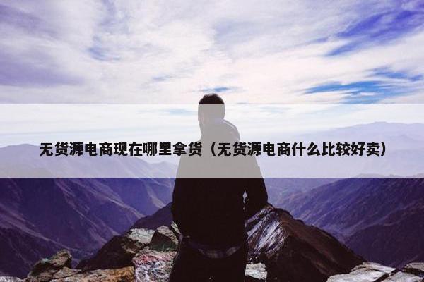 无货源电商现在哪里拿货（无货源电商什么比较好卖）