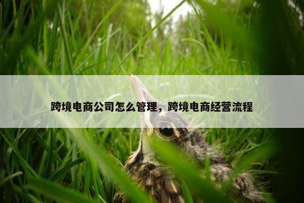 跨境电商公司怎么管理，跨境电商经营流程