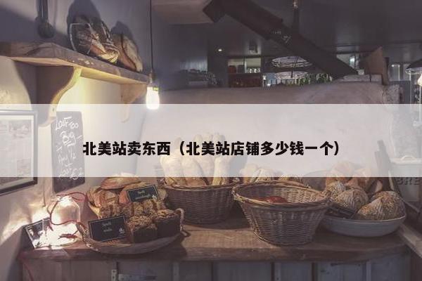 北美站卖东西（北美站店铺多少钱一个）